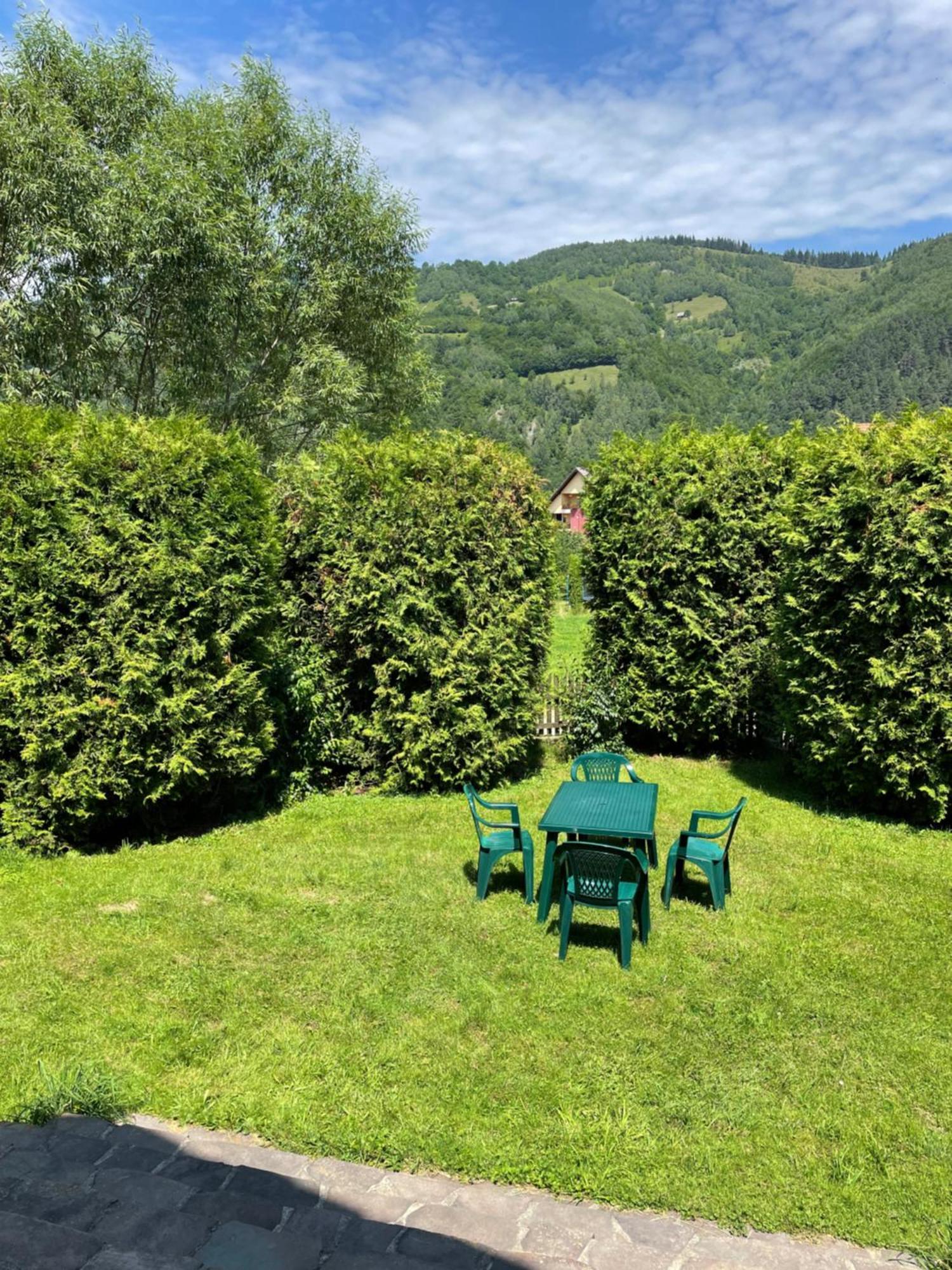 Homy Family House Villa Törcsvár Kültér fotó