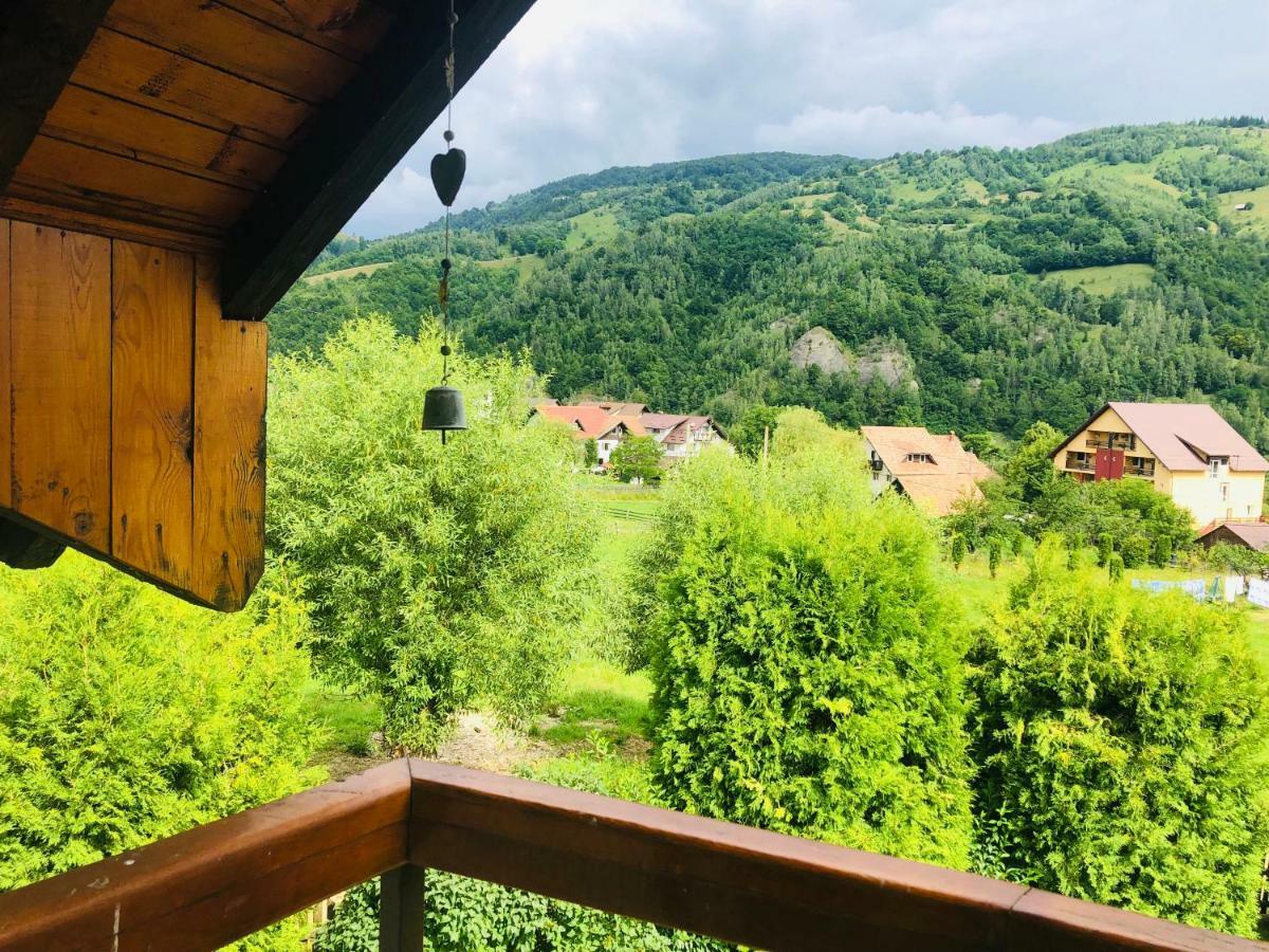 Homy Family House Villa Törcsvár Kültér fotó