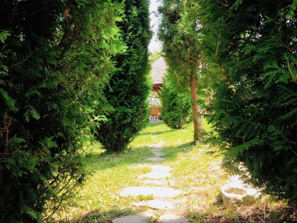 Homy Family House Villa Törcsvár Kültér fotó