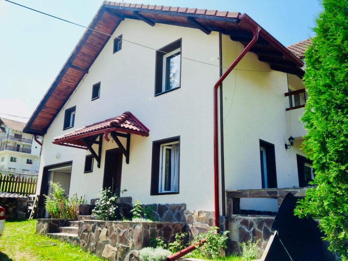 Homy Family House Villa Törcsvár Kültér fotó
